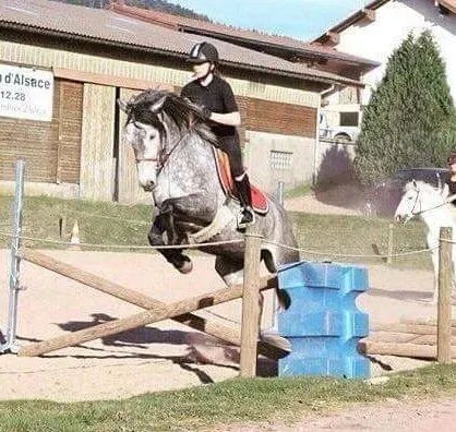 equitation (2)