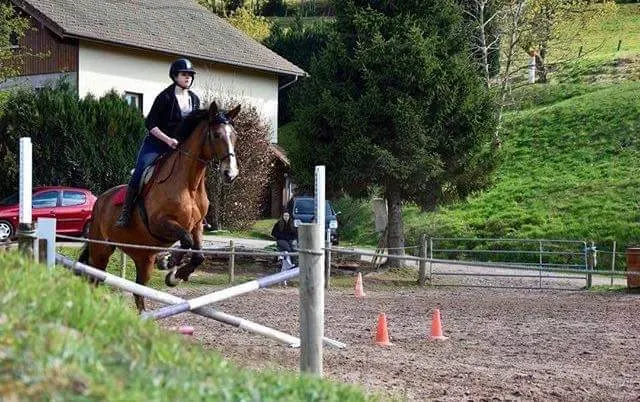 equitation (6)