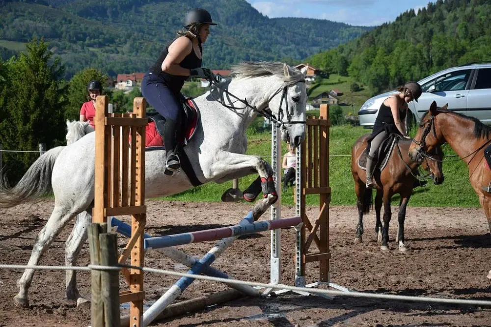 equitation (7)