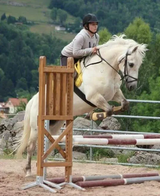 equitation (8)