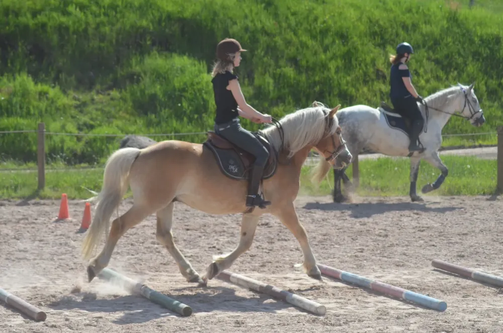 Équitation enfant à Saint-Maurice-sur-Moselle