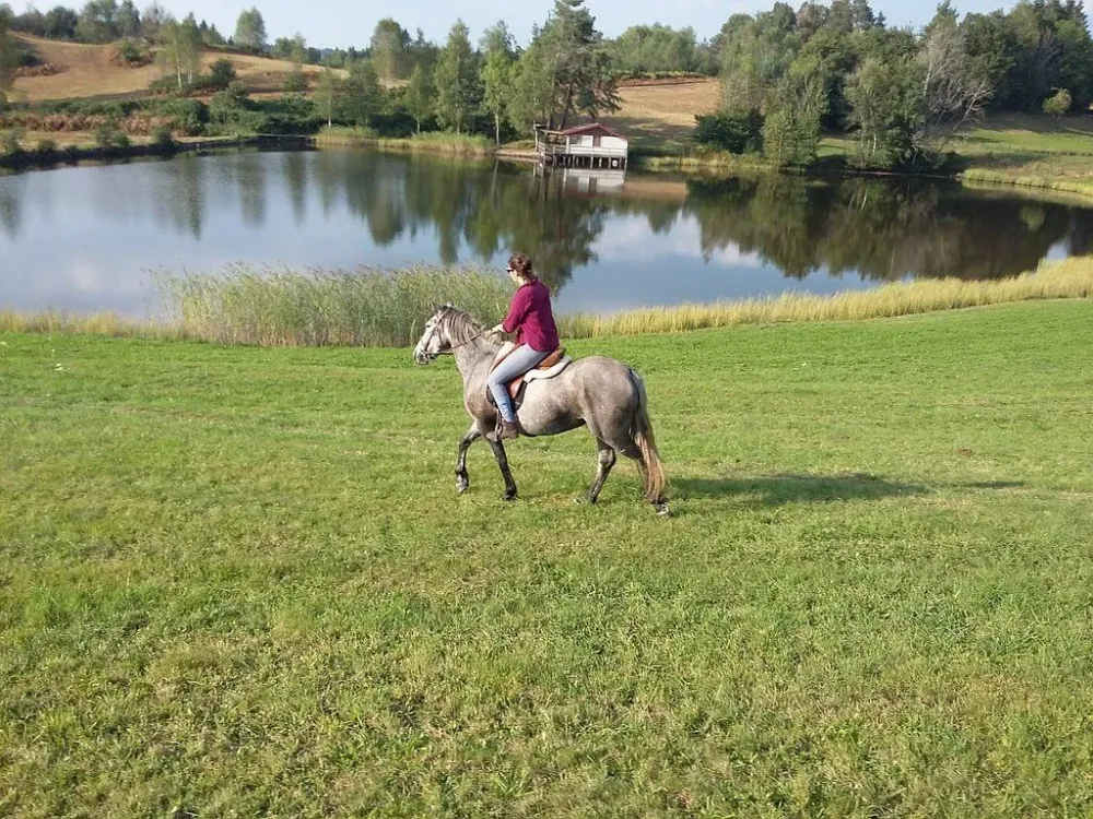 Promenade à cheval à Saint-Maurice-sur-Moselle