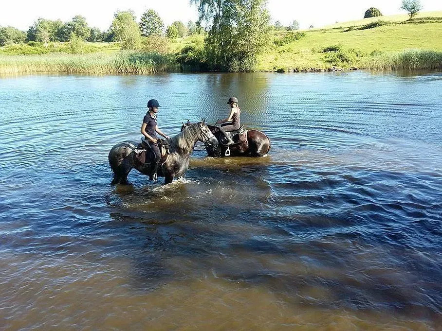 Randonnée à cheval à Saint-Maurice-sur-Moselle