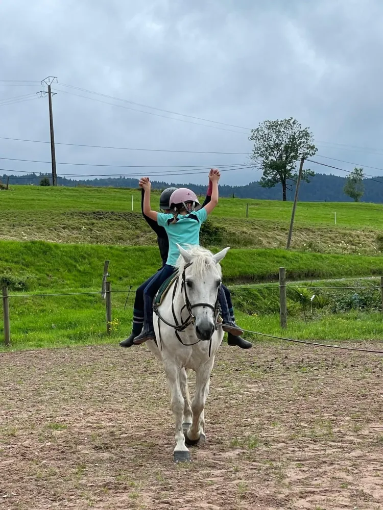 CENTRE HIPPIQUE DU BALLON D'ALSACE (6)
