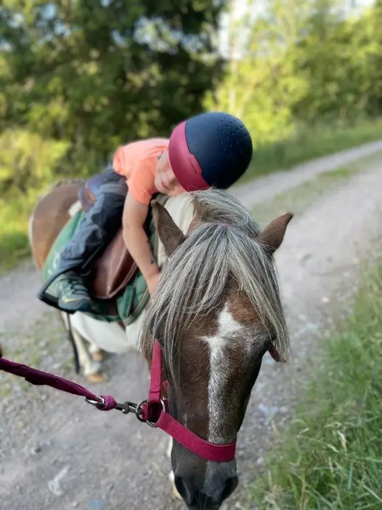CENTRE HIPPIQUE DU BALLON D'ALSACE (10)