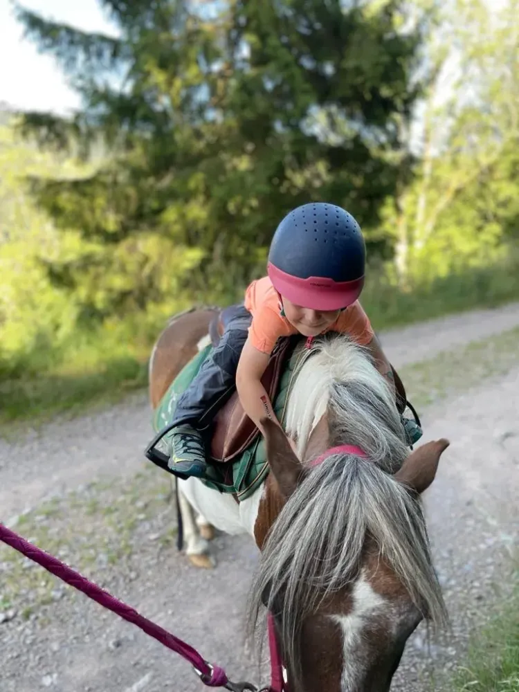 CENTRE HIPPIQUE DU BALLON D'ALSACE (11)