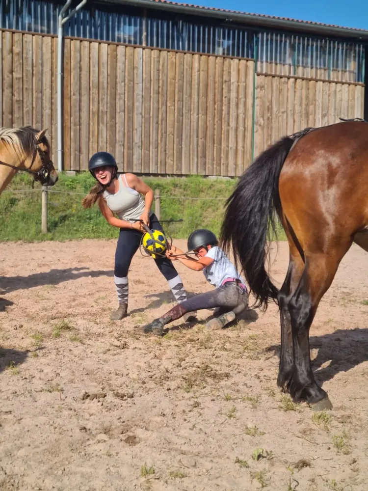 CENTRE HIPPIQUE DU BALLON D'ALSACE (12)