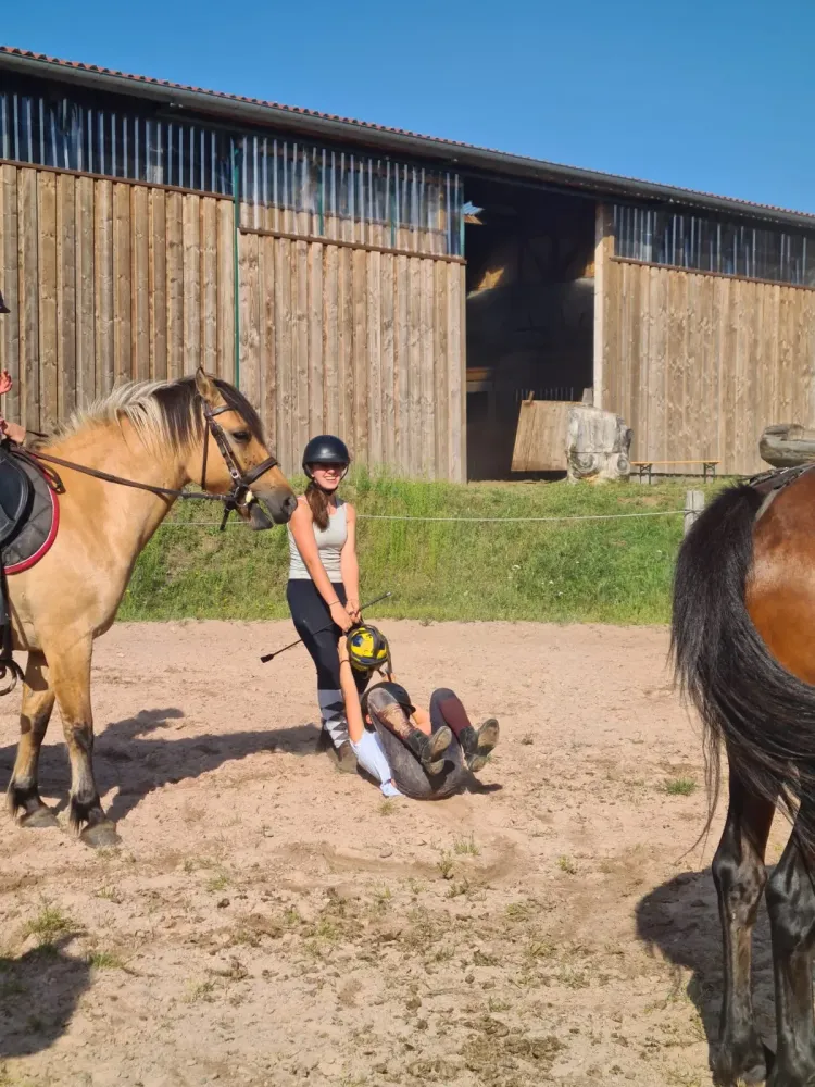 CENTRE HIPPIQUE DU BALLON D'ALSACE (14)