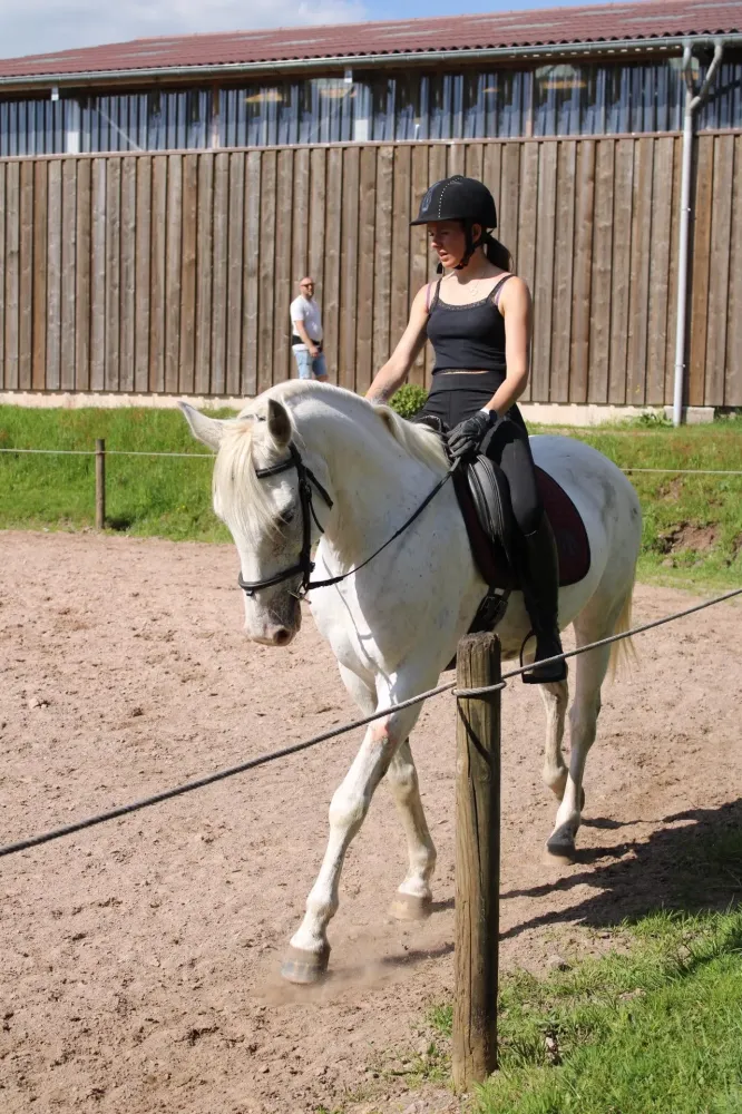 CENTRE HIPPIQUE DU BALLON D'ALSACE (35)