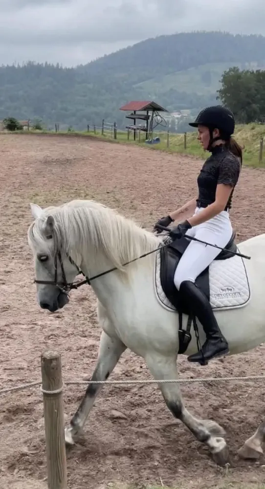 CENTRE HIPPIQUE DU BALLON D'ALSACE (36)