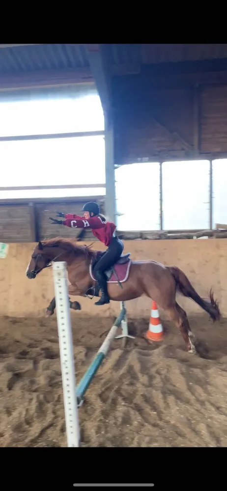CENTRE HIPPIQUE DU BALLON D'ALSACE (41)