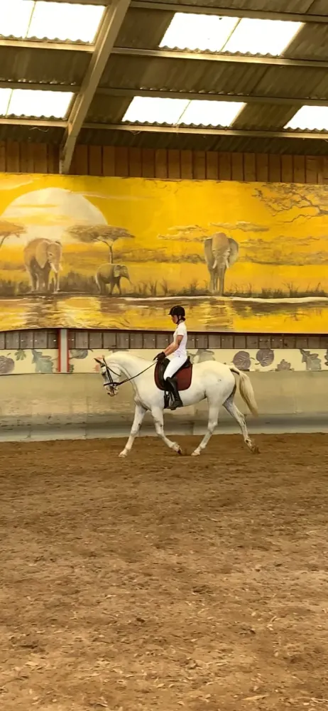 CENTRE HIPPIQUE DU BALLON D'ALSACE (42)