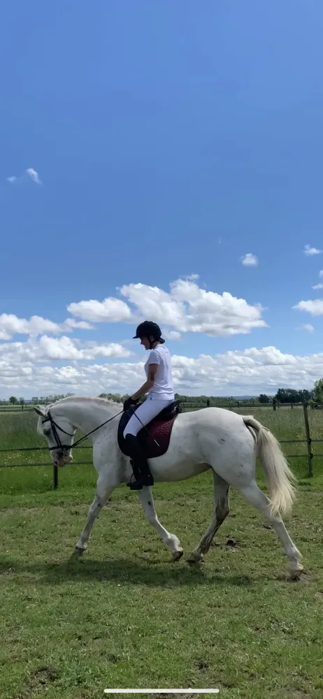 CENTRE HIPPIQUE DU BALLON D'ALSACE (43)
