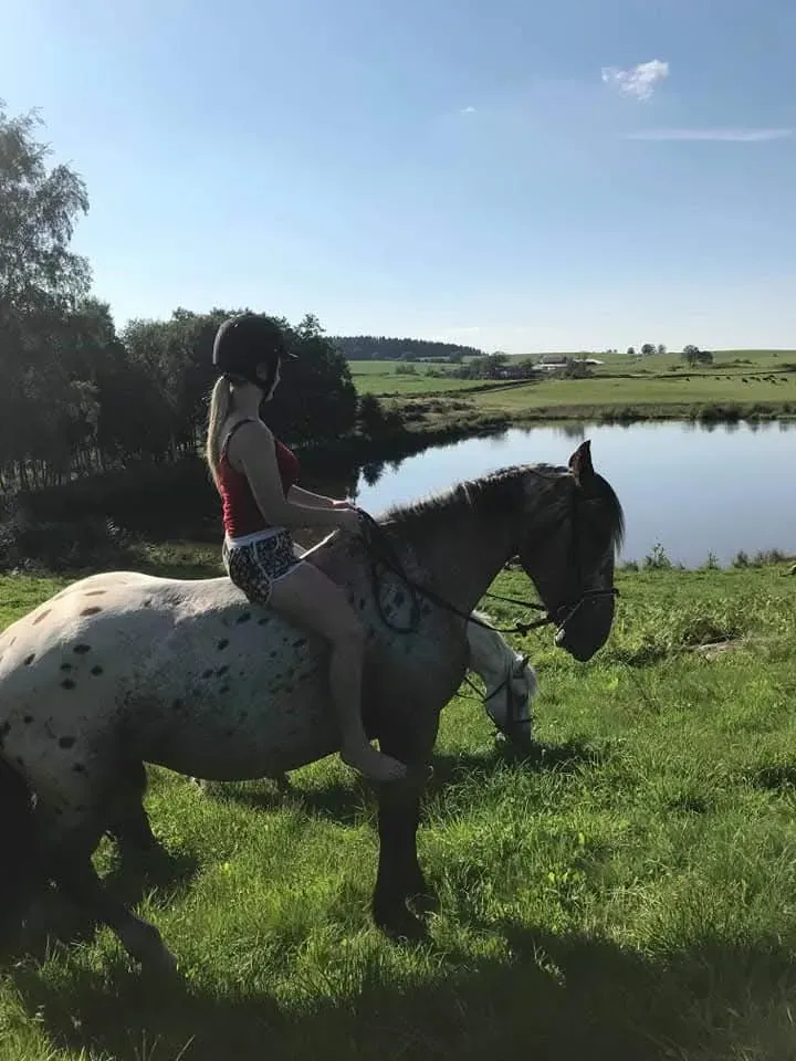 CENTRE HIPPIQUE DU BALLON D'ALSACE (61)