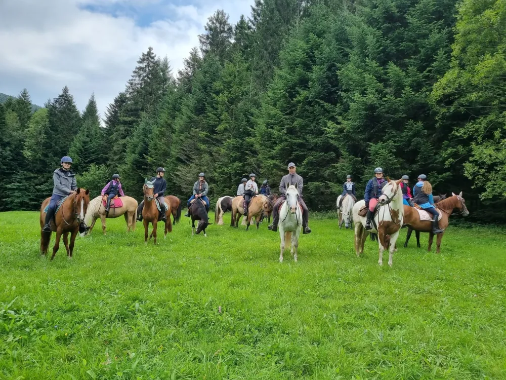 CENTRE HIPPIQUE DU BALLON D'ALSACE (6)