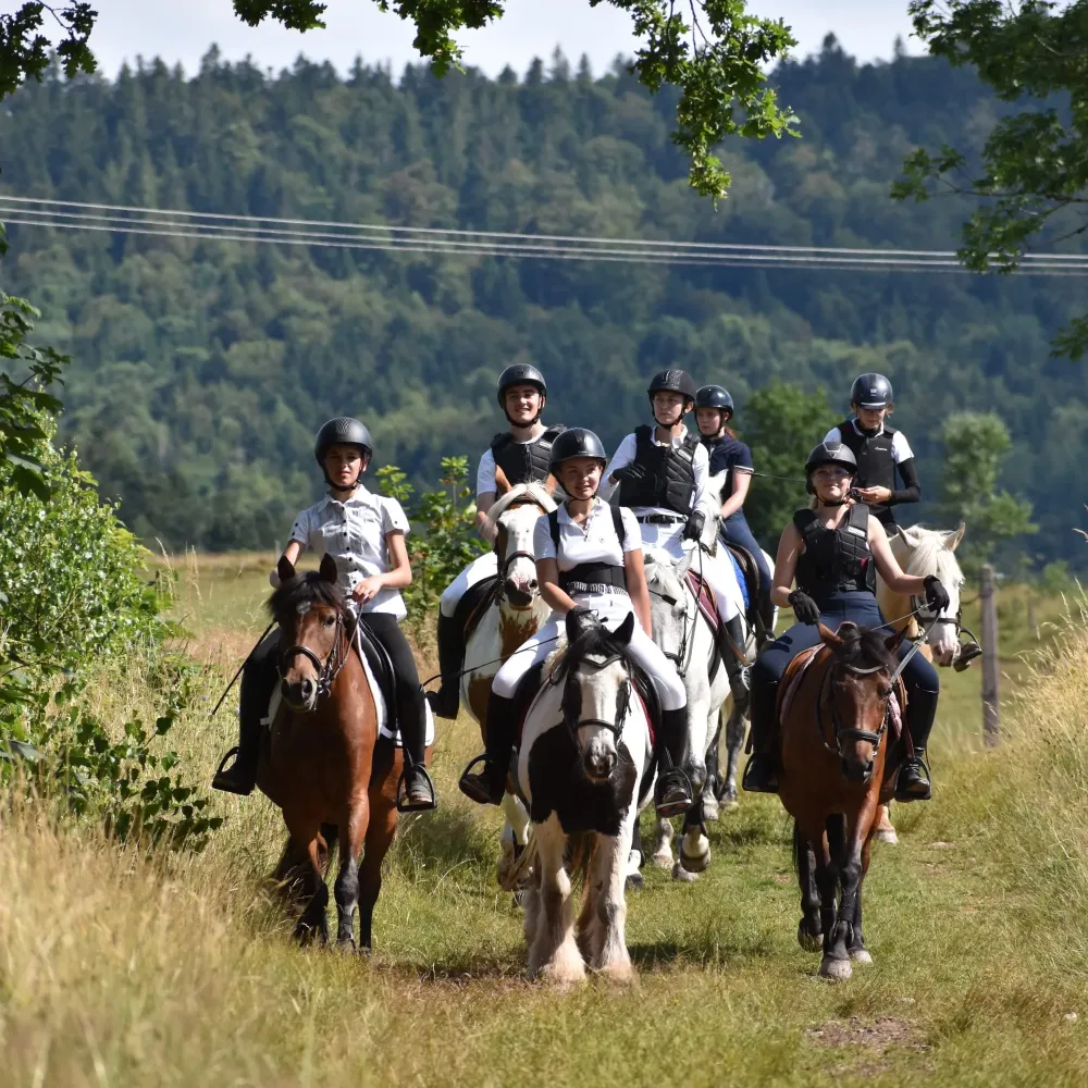 CENTRE HIPPIQUE DU BALLON D'ALSACE (29)