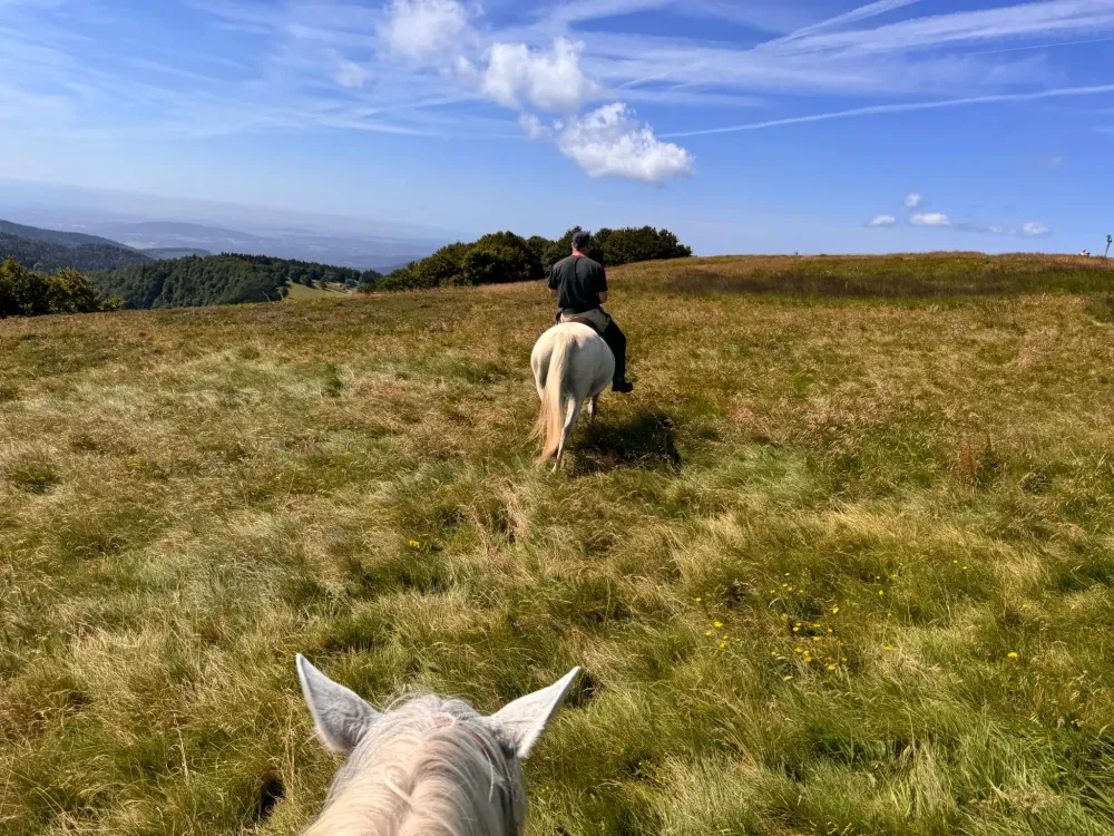 CENTRE HIPPIQUE DU BALLON D'ALSACE (14)