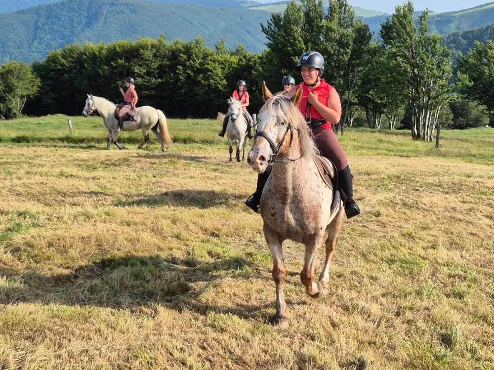 CENTRE HIPPIQUE DU BALLON D'ALSACE (15)