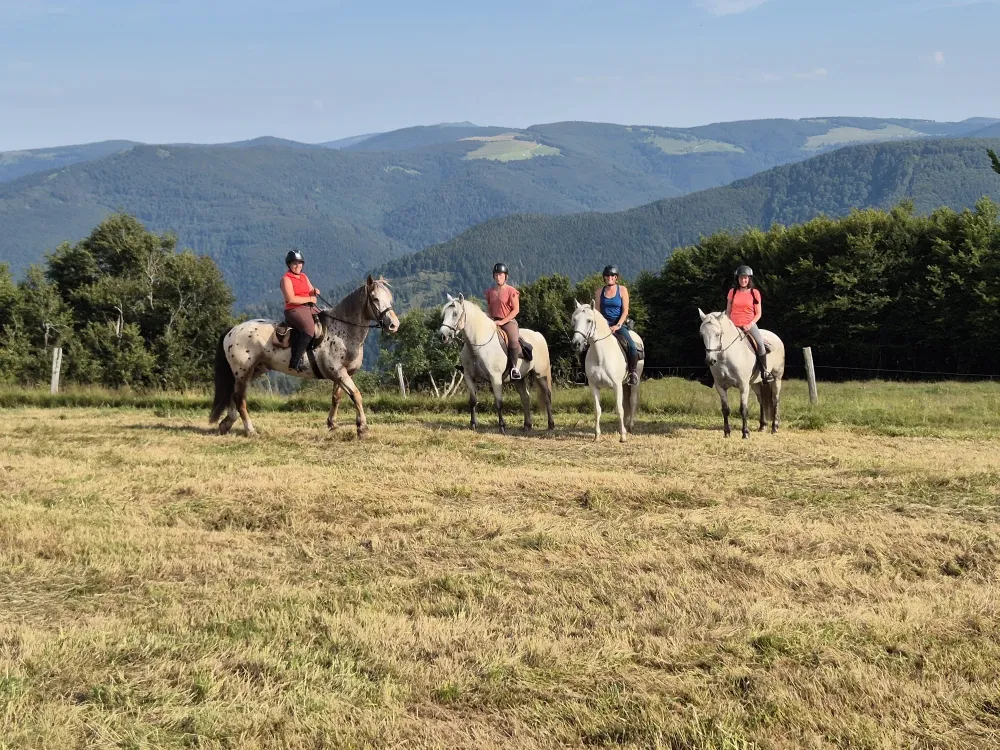 CENTRE HIPPIQUE DU BALLON D'ALSACE (16)