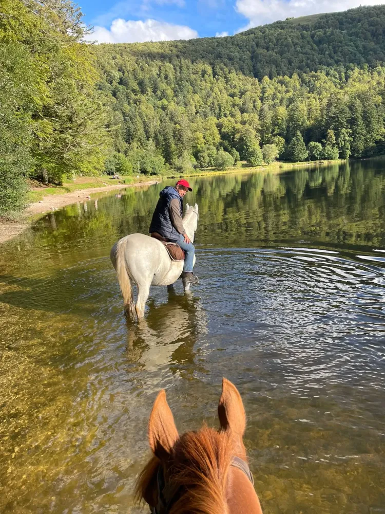 CENTRE HIPPIQUE DU BALLON D'ALSACE (18)