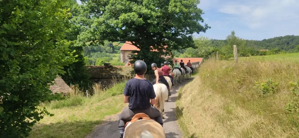 CENTRE HIPPIQUE DU BALLON D'ALSACE (20)