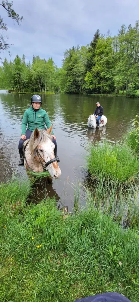 CENTRE HIPPIQUE DU BALLON D'ALSACE (21)