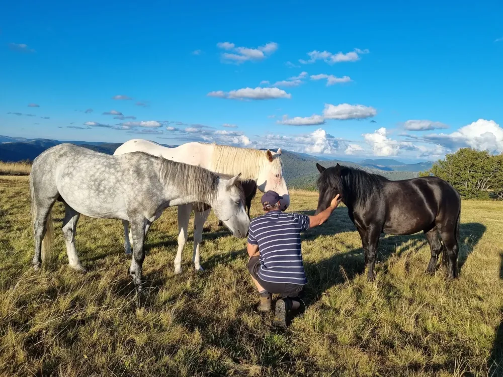 CENTRE HIPPIQUE DU BALLON D'ALSACE (32)