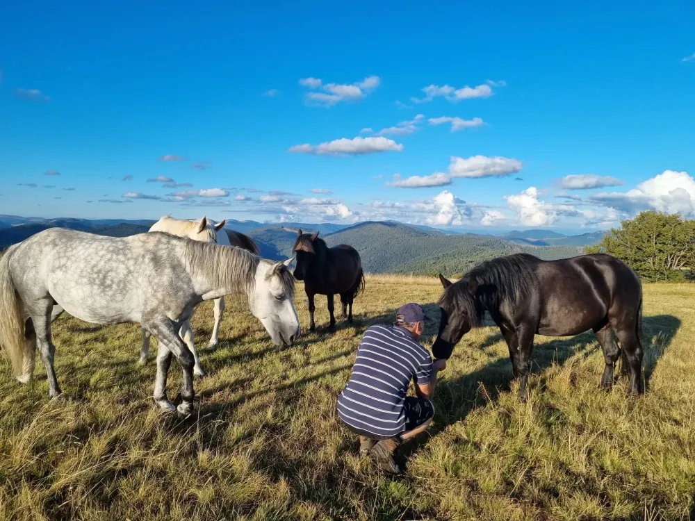 CENTRE HIPPIQUE DU BALLON D'ALSACE (33)