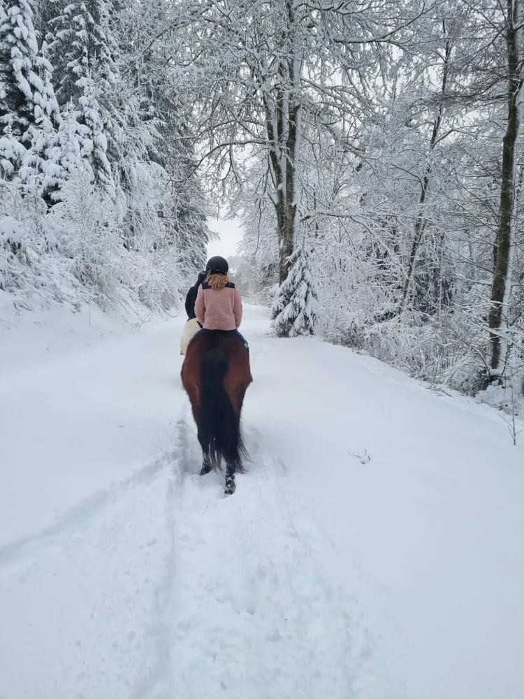 CENTRE HIPPIQUE DU BALLON D'ALSACE (3)