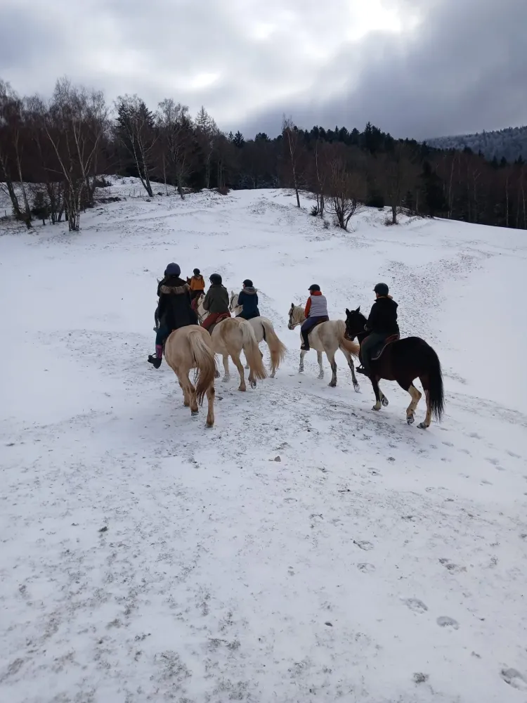 CENTRE HIPPIQUE DU BALLON D'ALSACE (4)