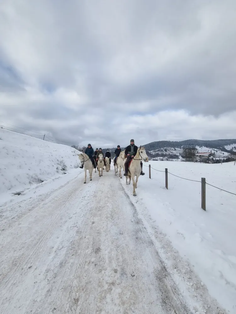 CENTRE HIPPIQUE DU BALLON D'ALSACE (5)