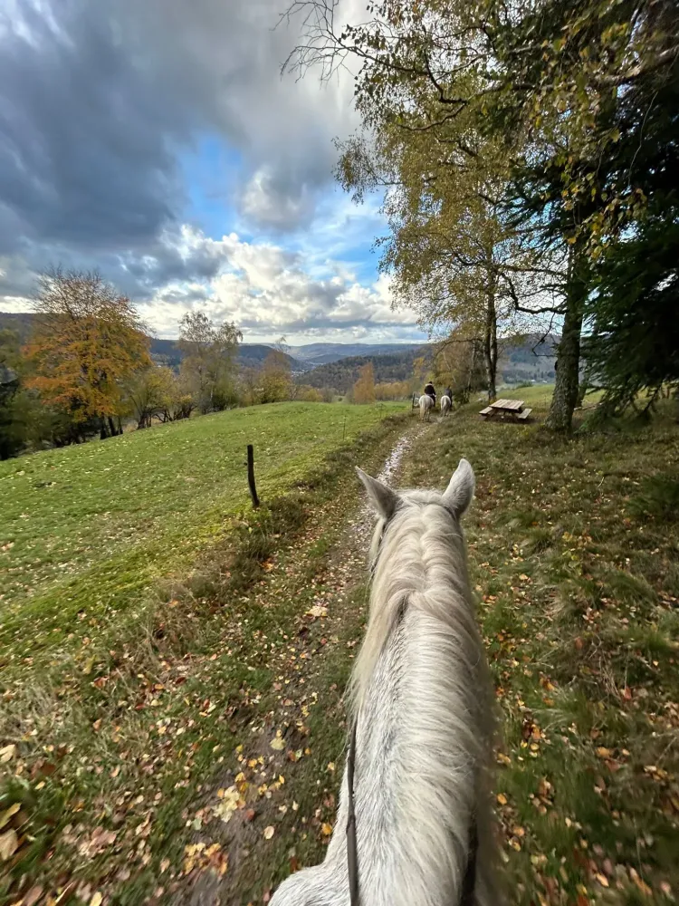 CENTRE HIPPIQUE DU BALLON D'ALSACE (9)