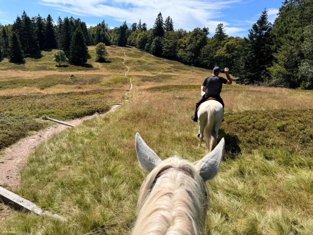 CENTRE HIPPIQUE DU BALLON D'ALSACE (11)