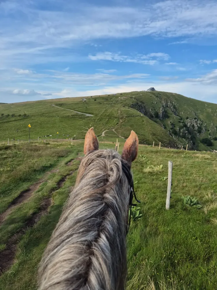 CENTRE HIPPIQUE DU BALLON D'ALSACE (14)