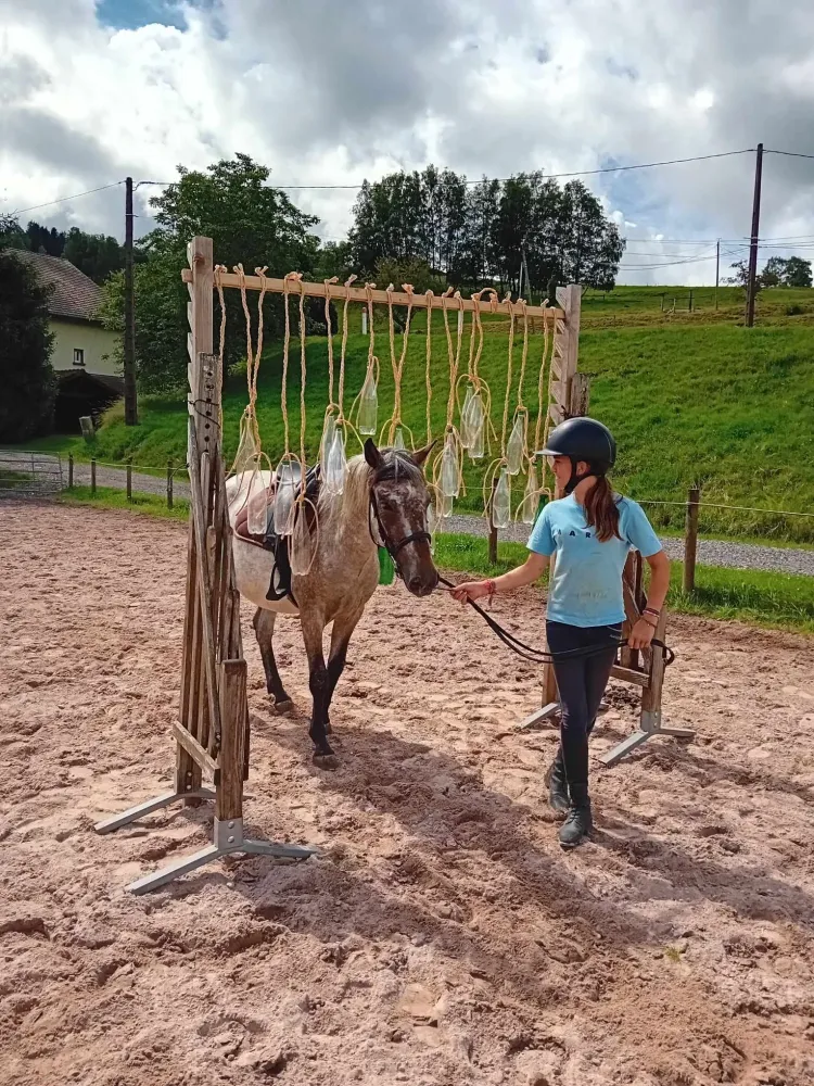 CENTRE HIPPIQUE DU BALLON D'ALSACE (2)