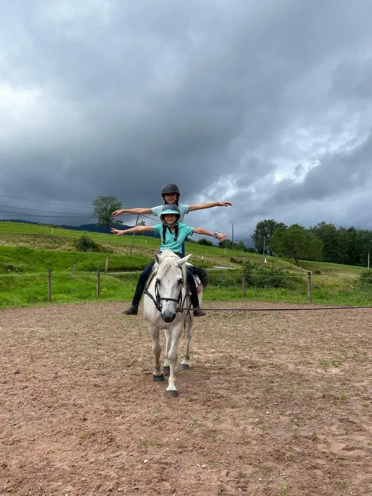CENTRE HIPPIQUE DU BALLON D'ALSACE (6)