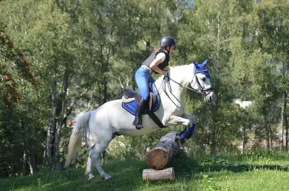 CENTRE HIPPIQUE DU BALLON D'ALSACE (13)