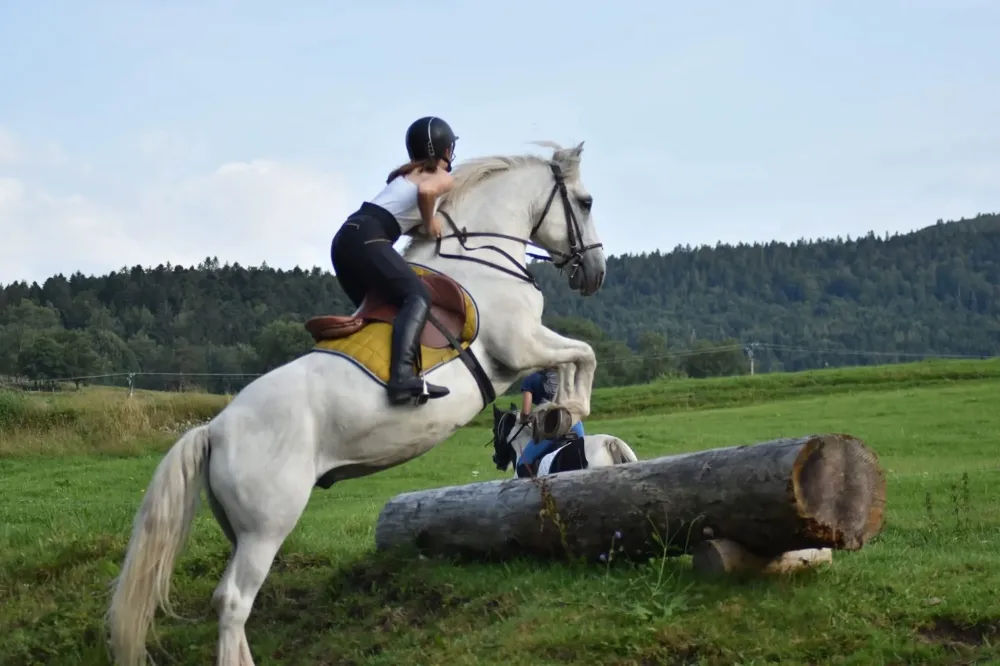 CENTRE HIPPIQUE DU BALLON D'ALSACE (14)